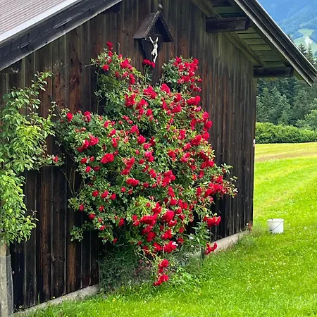 Ferienhaeuser Schweitzer