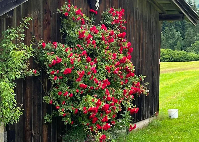 Ferienhaeuser Schweitzer